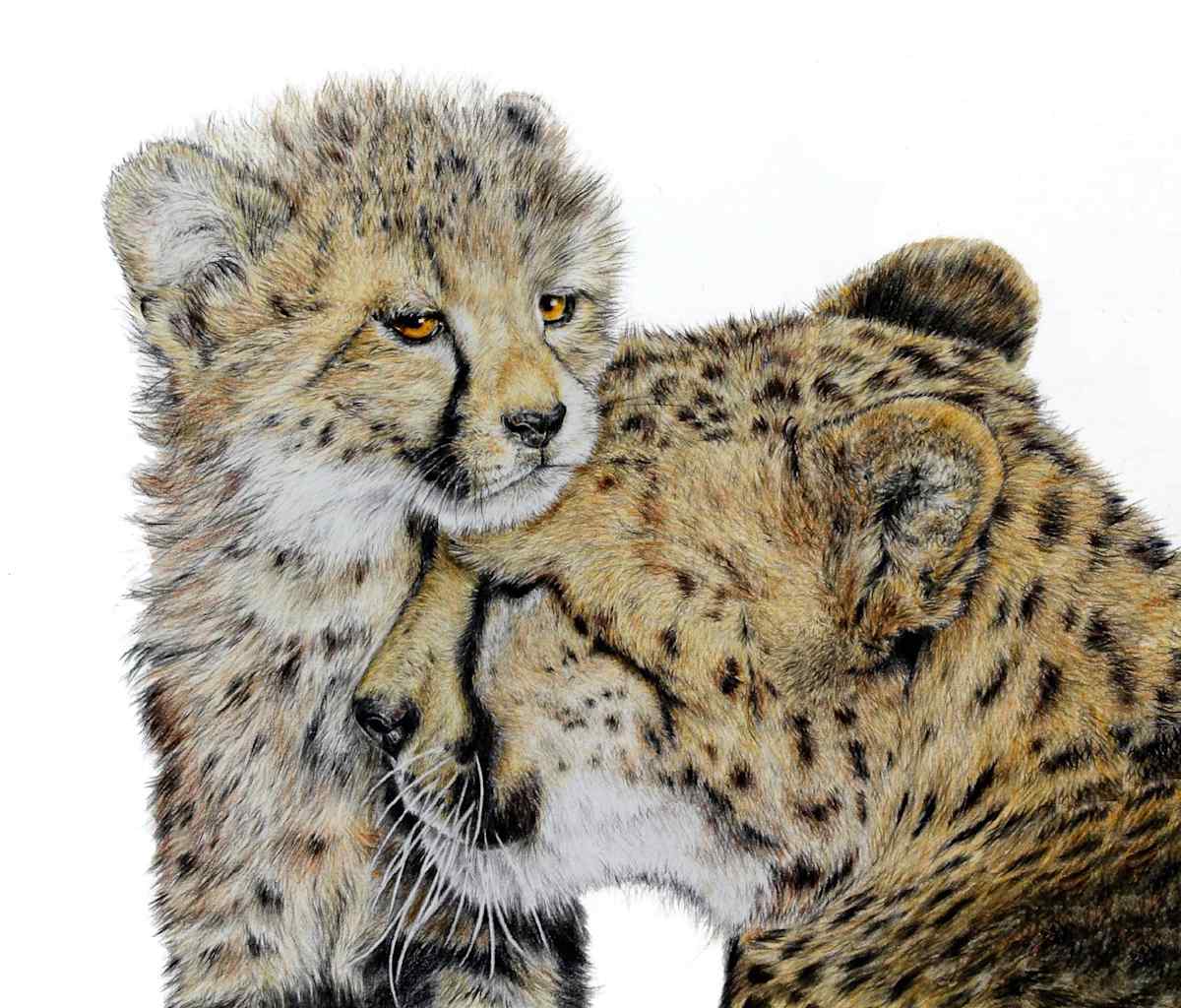 'Mother's Love' by Miriam Gaulton, Image 2.