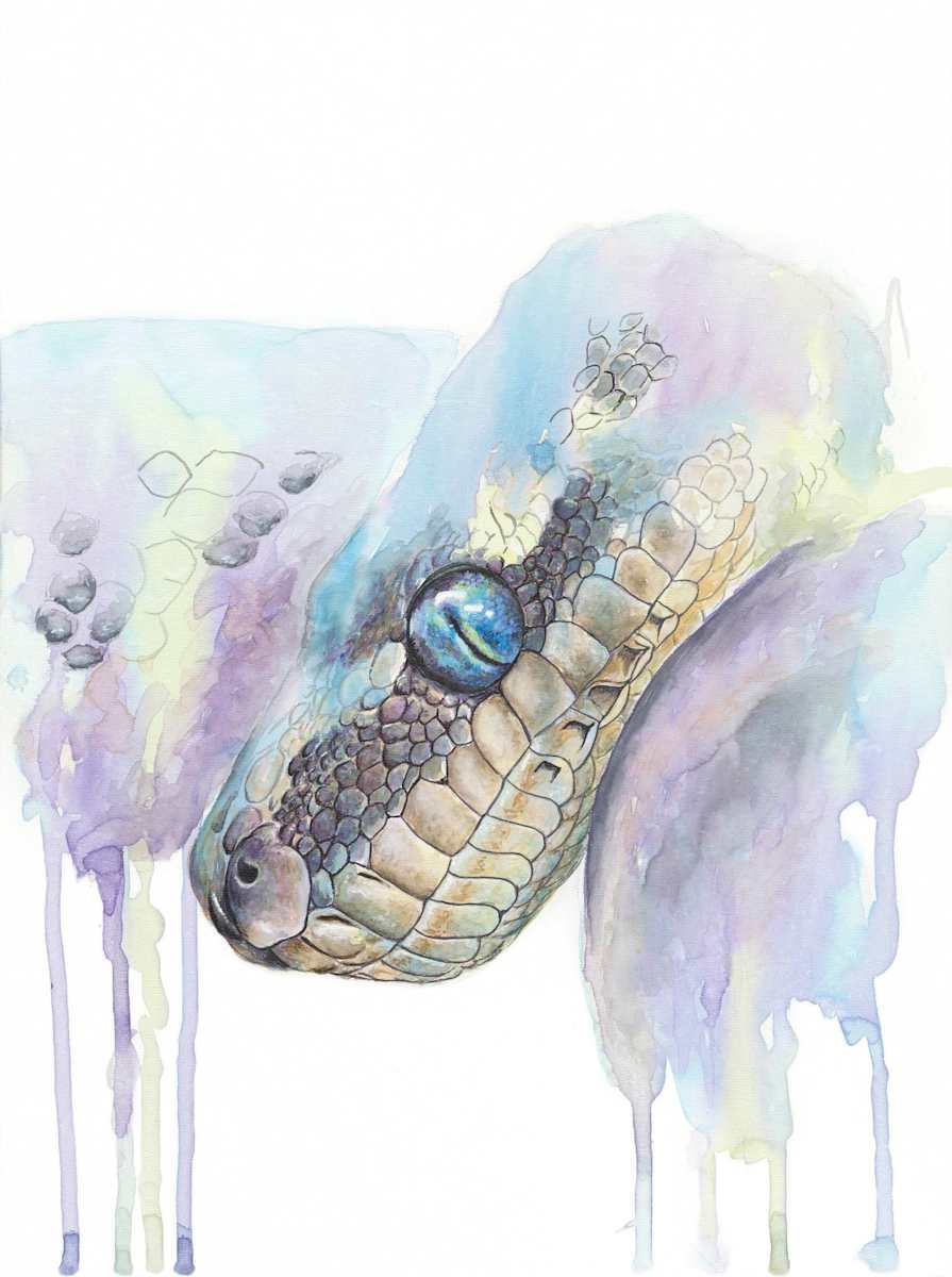 Python by Miriam Gaulton 