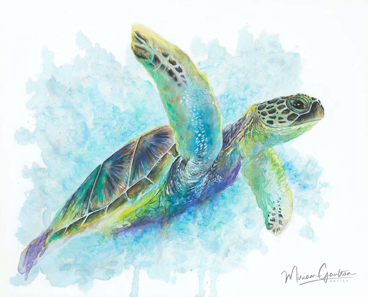 Sea Turtle by Miriam Gaulton, Image 3.