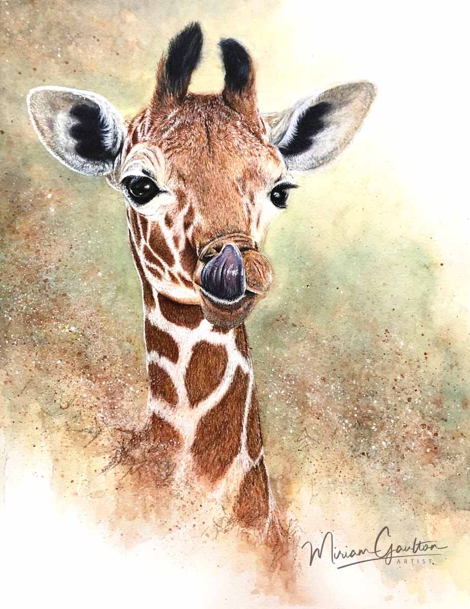 A Taste of the Savanna by Miriam Gaulton, Image 1.