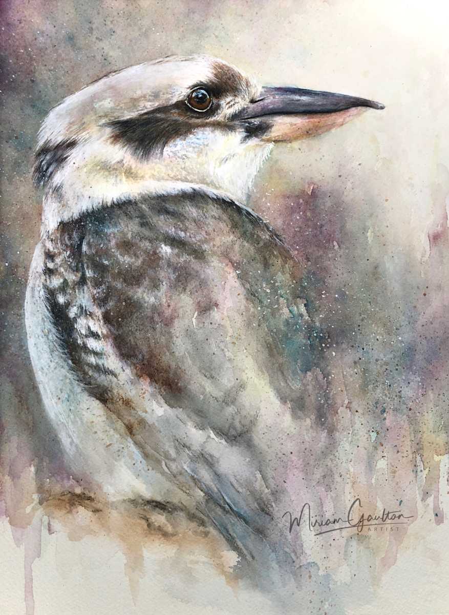 'Before the Turning' - Kookaburra by Miriam Gaulton, Image 5.