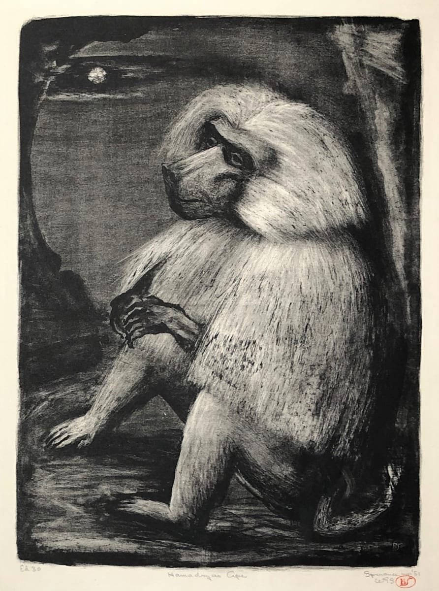 Hamadryas Ape by Benton Spruance - American, 1904-1967 
