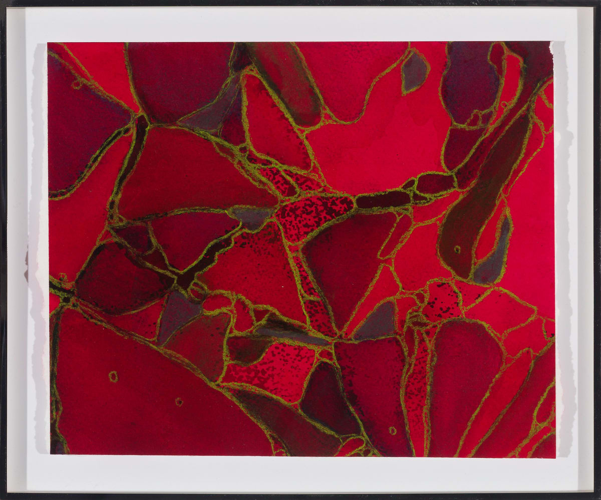 From Erythrocyte #6 by Sean McDowell 