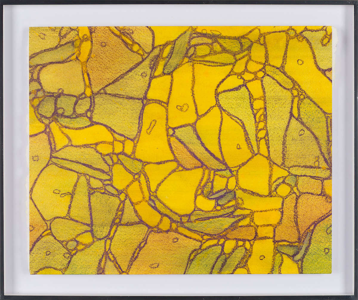 From Apoptosis #2 by Sean McDowell 