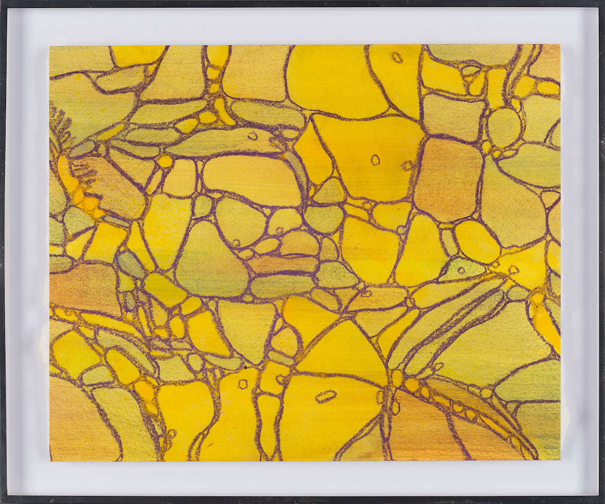 From Apoptosis #4 by Sean McDowell 