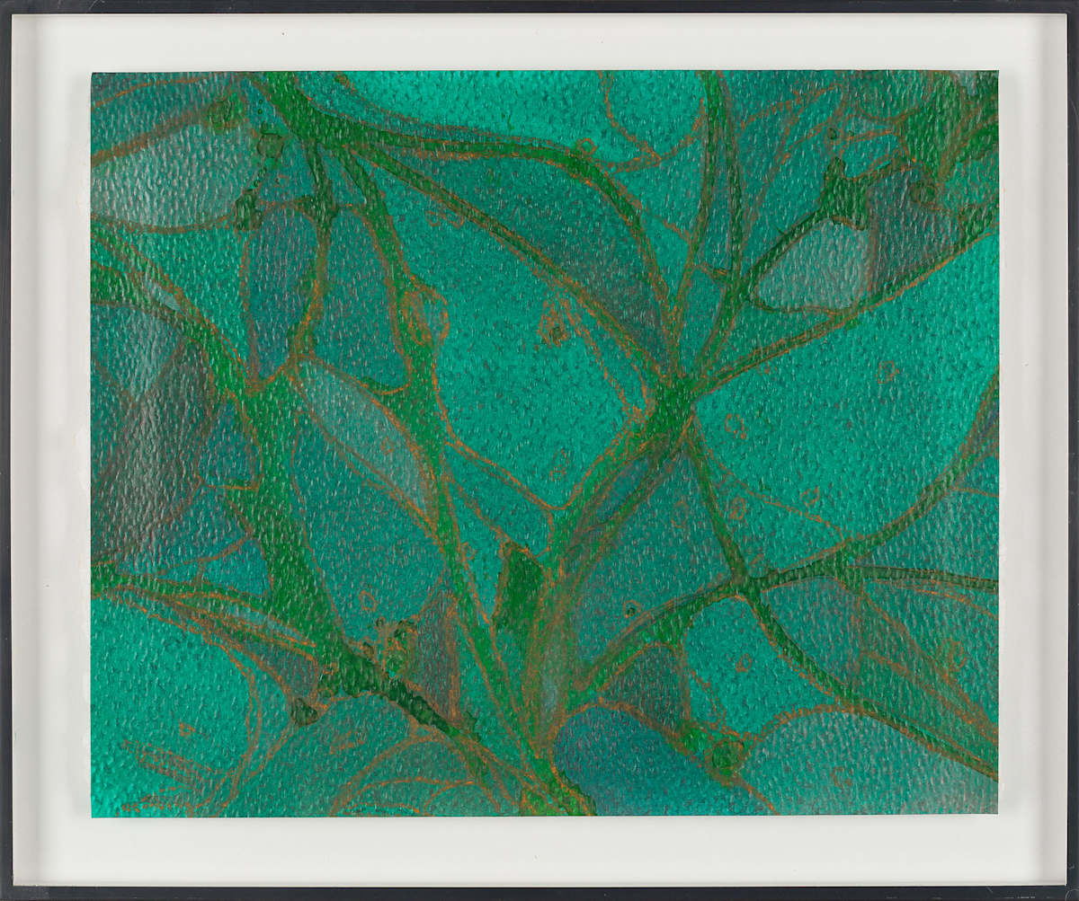 From Chlorophyll #4 by Sean McDowell 