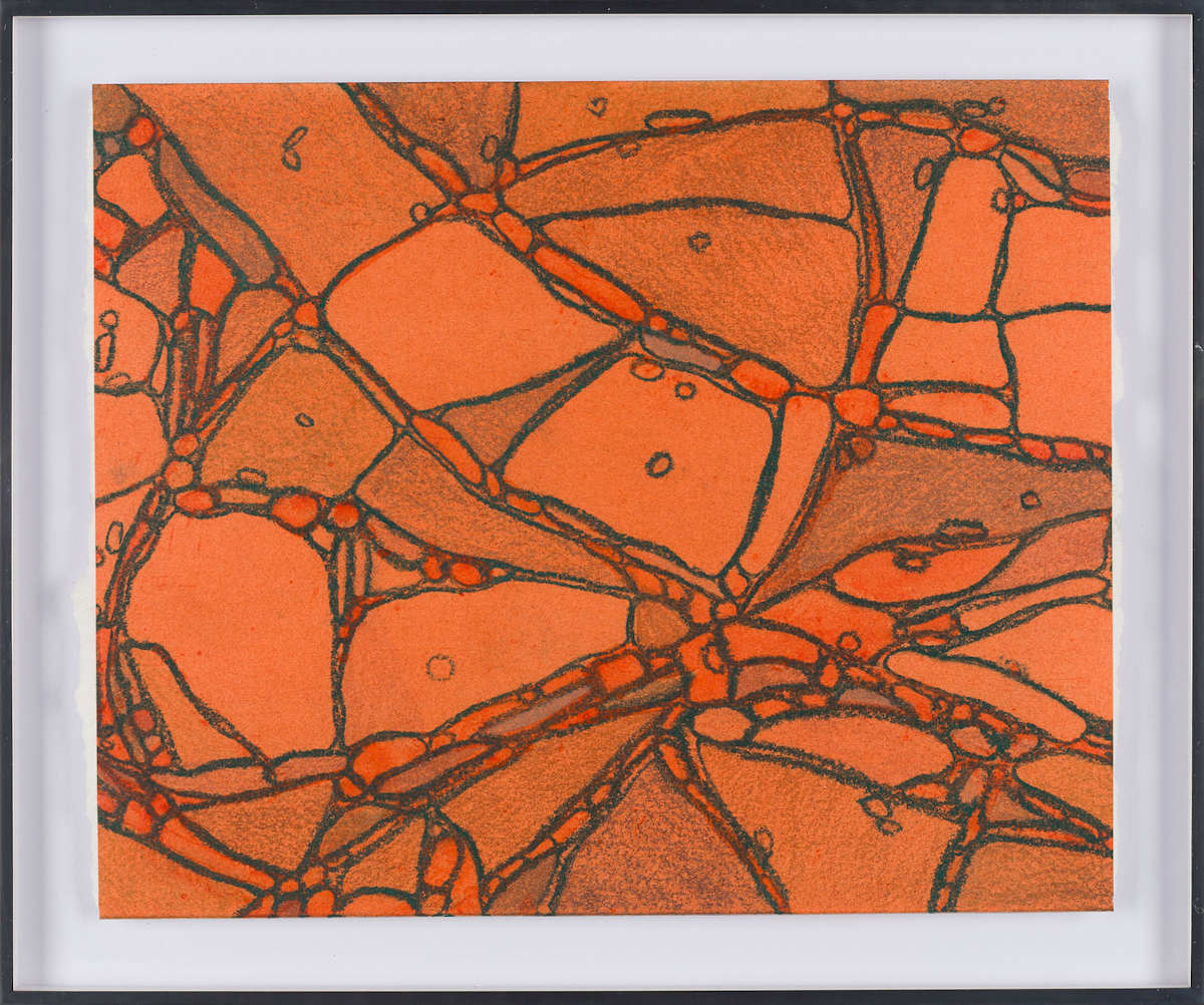 From Chromatophores #3 by Sean McDowell 