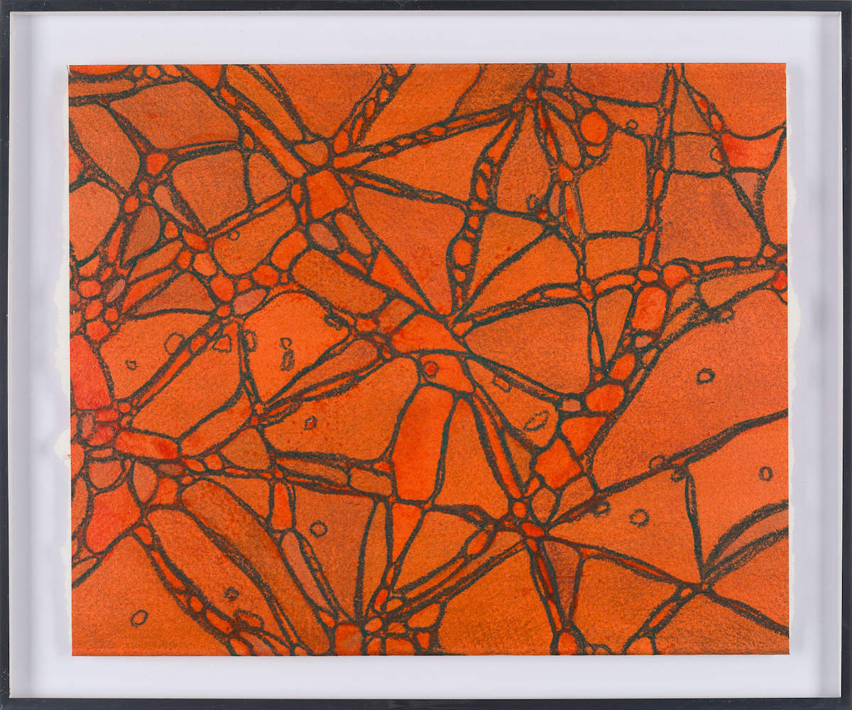 From Chromatophores #4 by Sean McDowell 