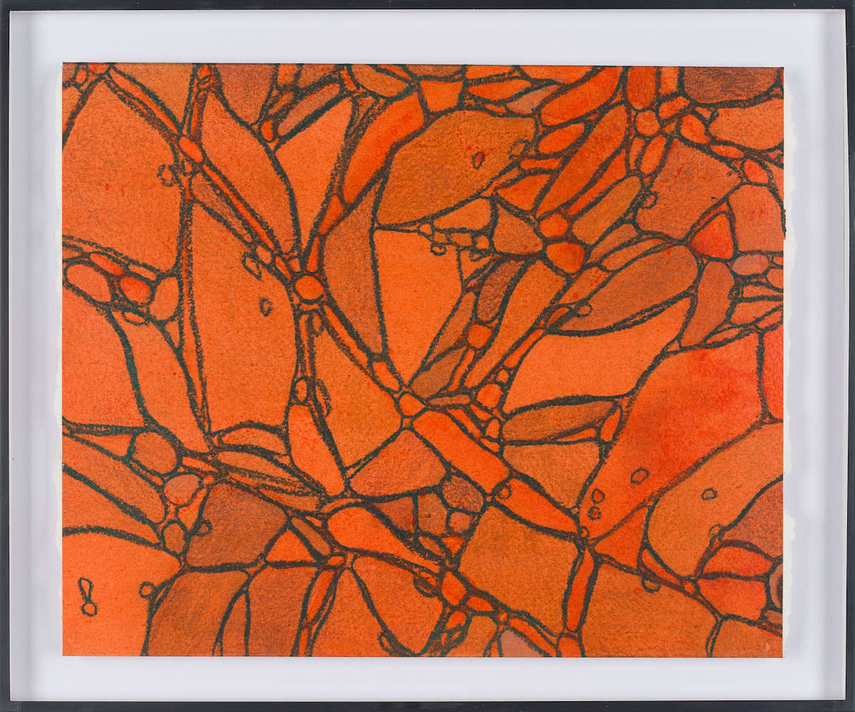 From Chromatophores #6 by Sean McDowell 