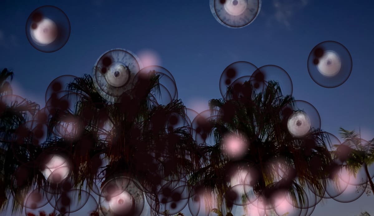 Fairies’s Hour by Erin Parish 