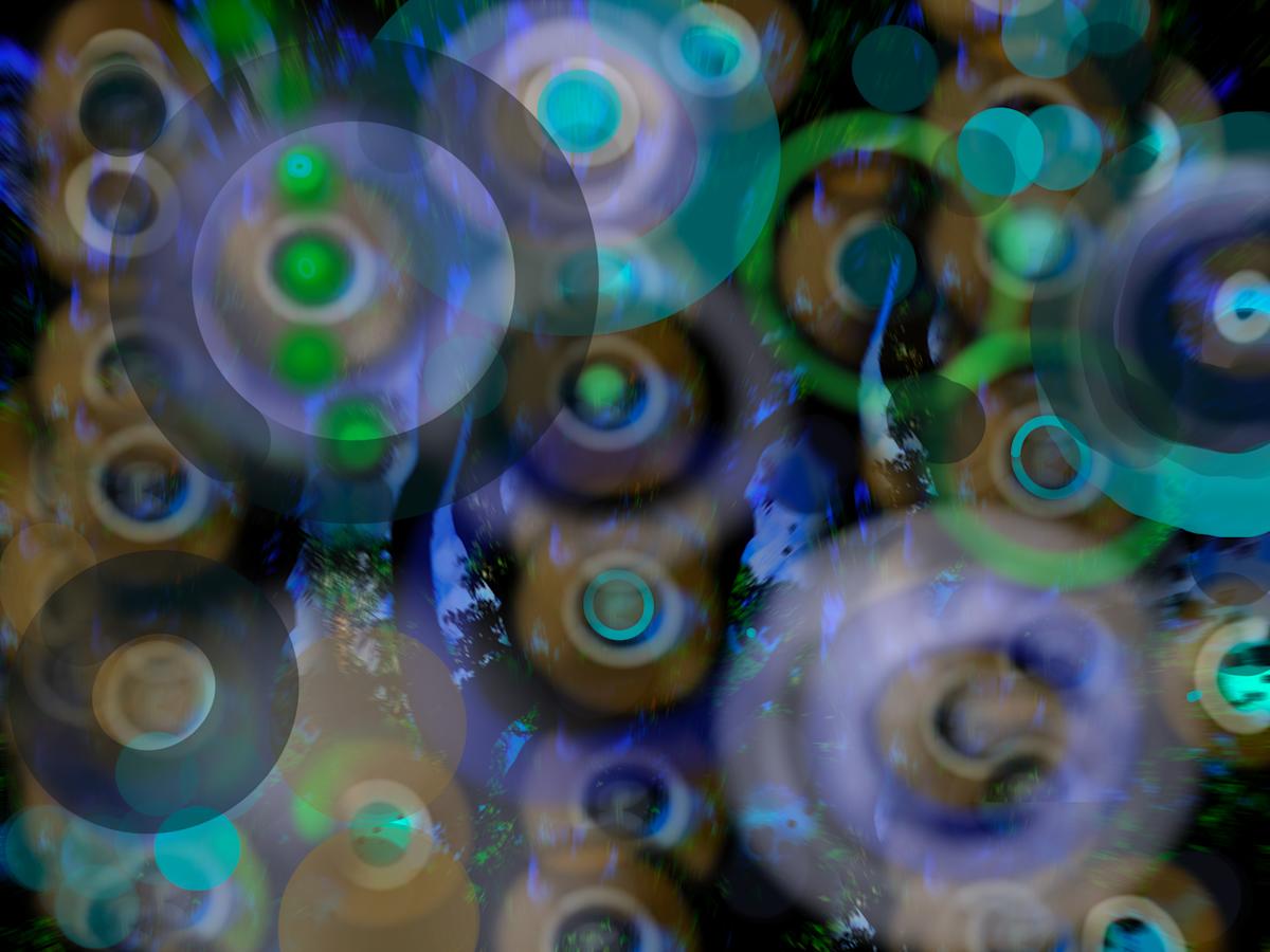 Dizzying by Erin Parish, Image 21.