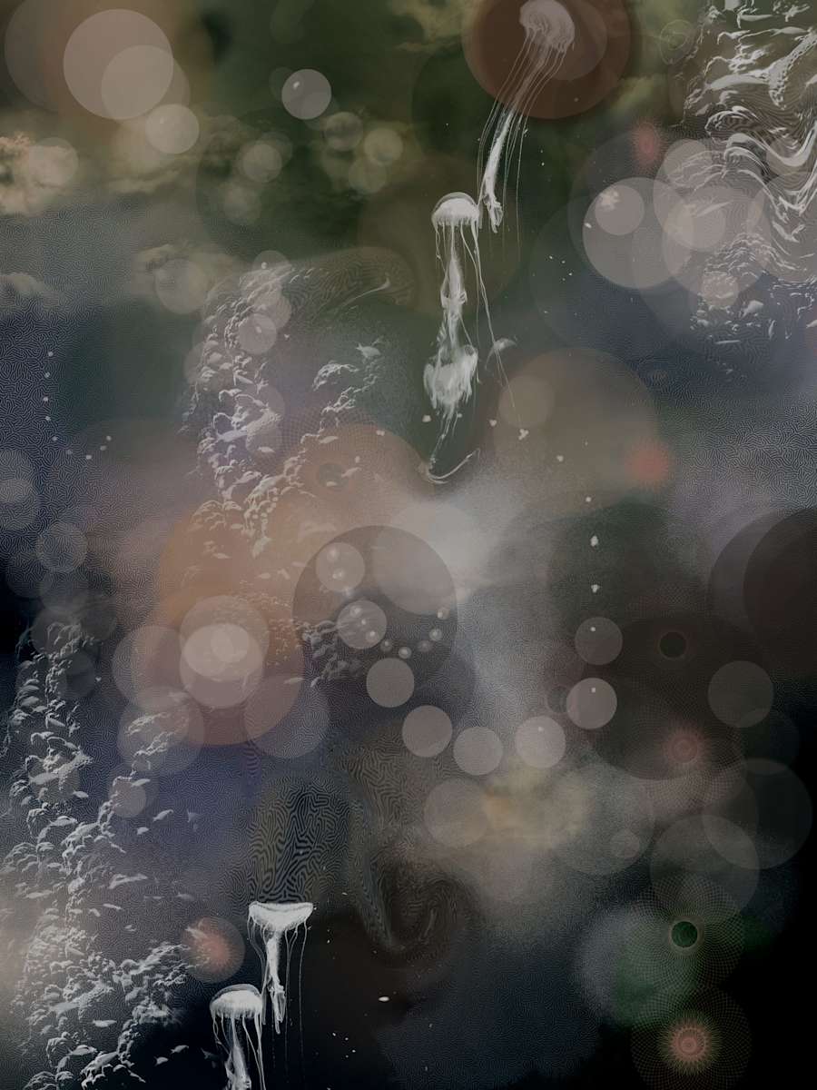 Five O’clock by Erin Parish, Image 14.