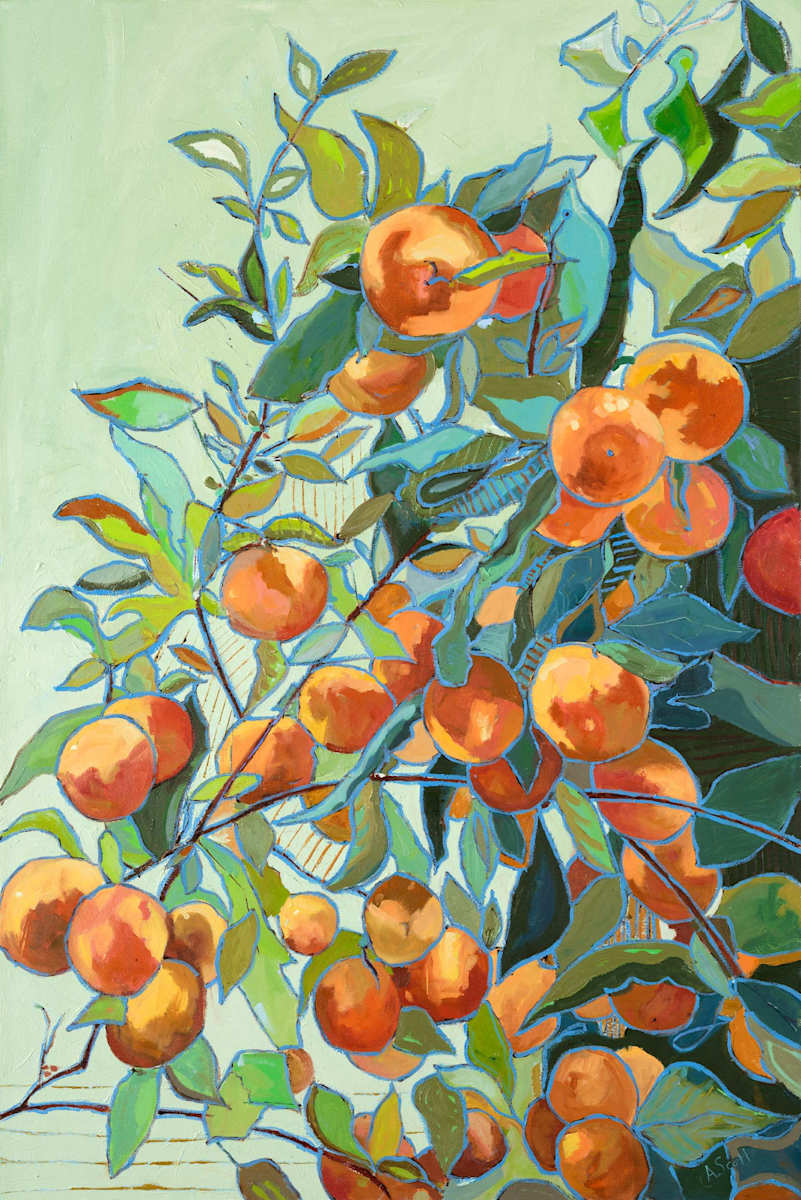 Rooted by Amanda Scott 