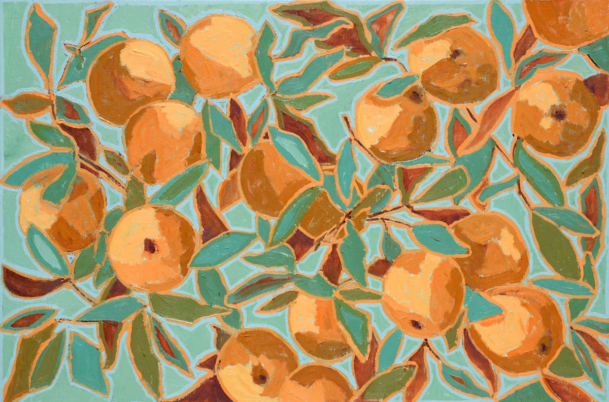 The Shape of Plenty by Amanda Scott, Image 1.
