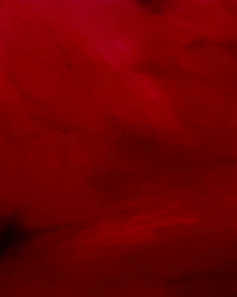 An Apparent Lack of Ceremony by Sherylle Dovaston  Image: An Apparent Lack of Ceremony, acrylic on canvas, 76 x 60cm