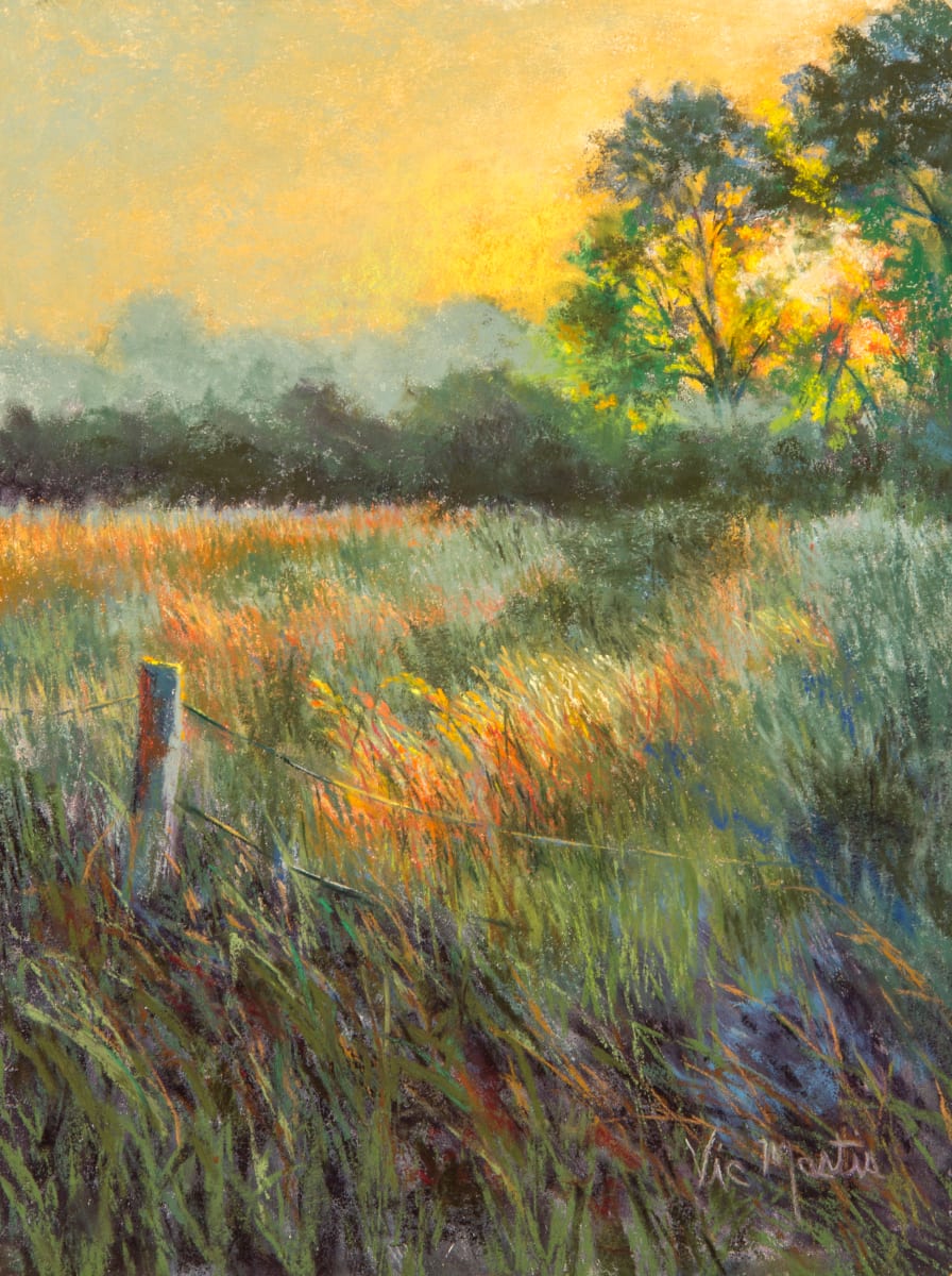 Morning Walk II by Vic Mastis  Image: The sun was just rising as I went for a morning walk in Southern France.  It shined across the sweeping grasses creating a wonderful glow.