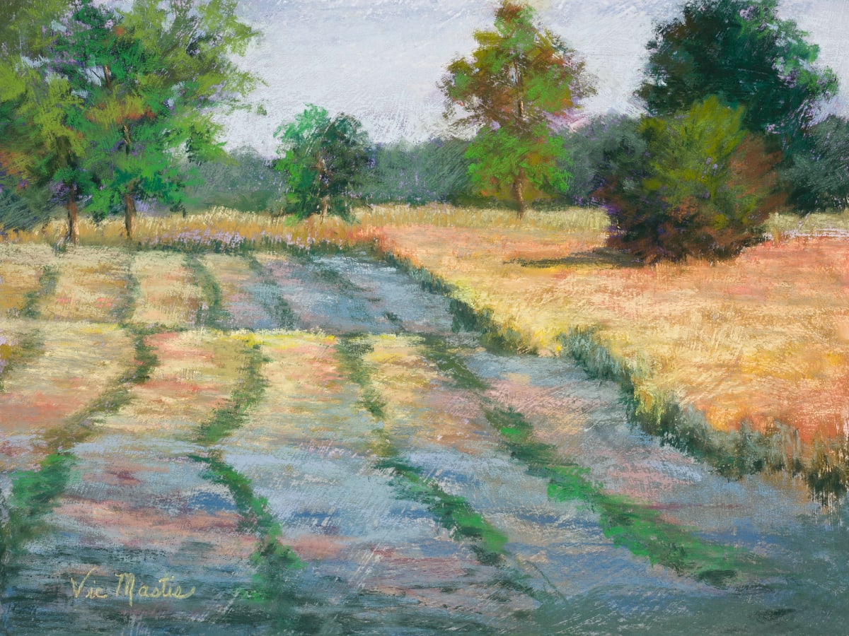 Plowed by Vic Mastis  Image: I loved the patterns in the cool colored plowed fields verses the warm colors of the uncut wheat.