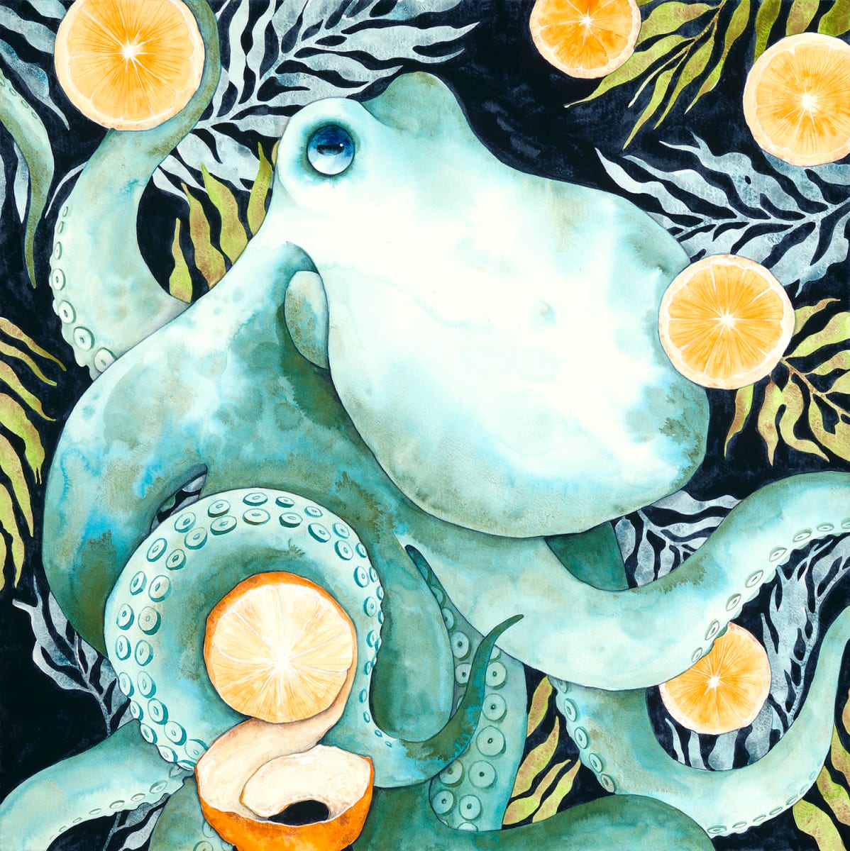 The Octopus & His Oranges by Kara Voorhees Reynolds 