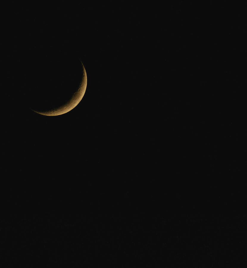 Sliver of Gold (Moon over Dunedin) by Mechelle Rene 