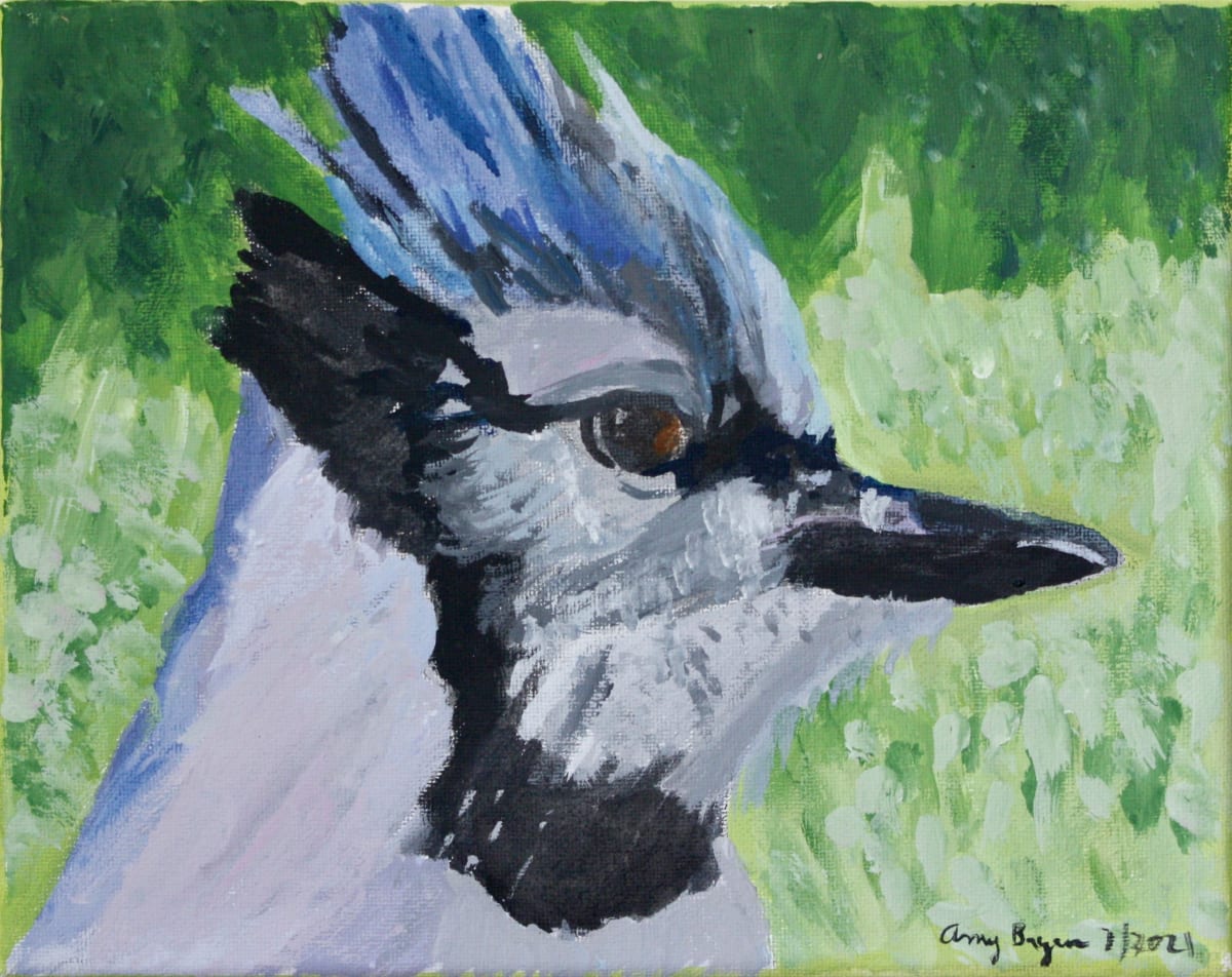 Blue Jay Side View Portrait (Painting) by Amy Bryan 