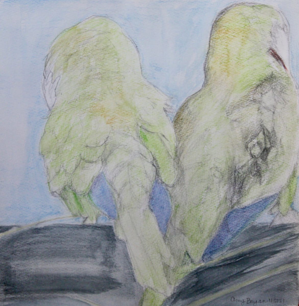 Monk Parakeet Love Birds by Amy Bryan 