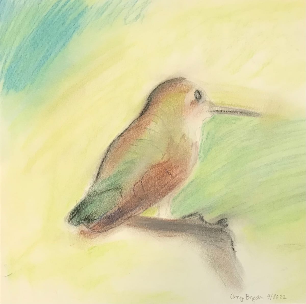 Hummingbird by Amy Bryan 