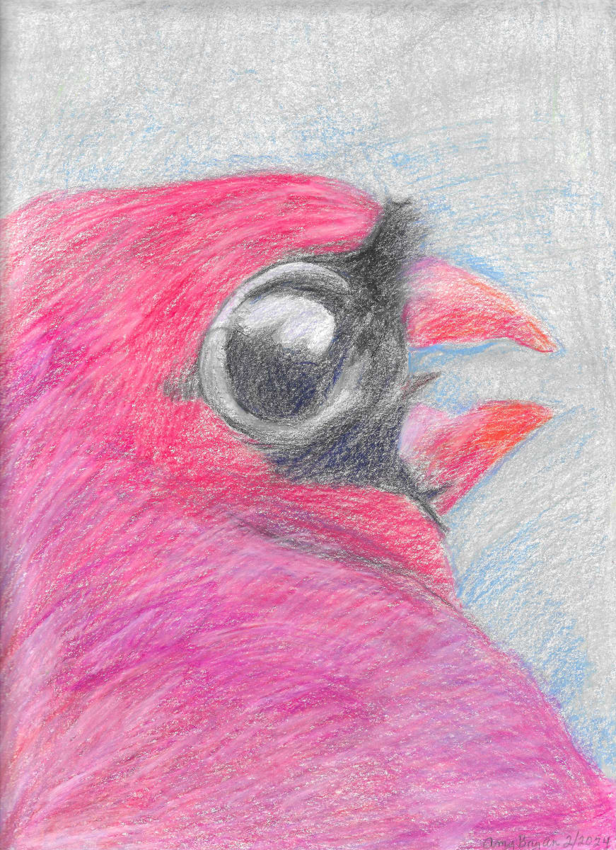 Red Cardinal Face by Amy Bryan  Image: colored pencils, 9"x12", 2-16-2024