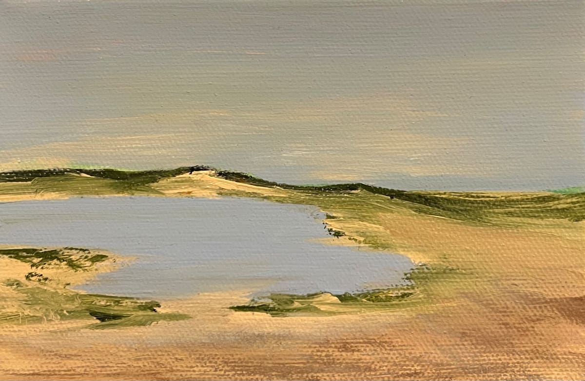 Oasis 