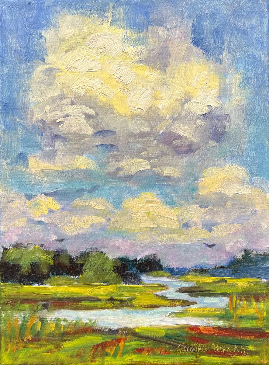 Cloud Show Summer Day at Cox Reservation by Artnova Gallery 