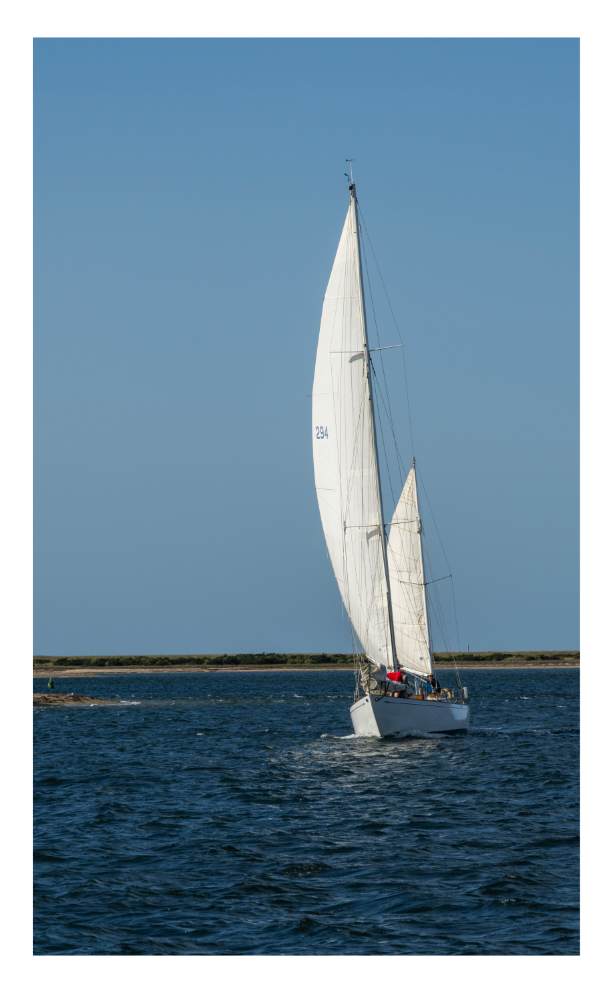 Brant Point Sail #2 by Artnova Gallery, Image 1.