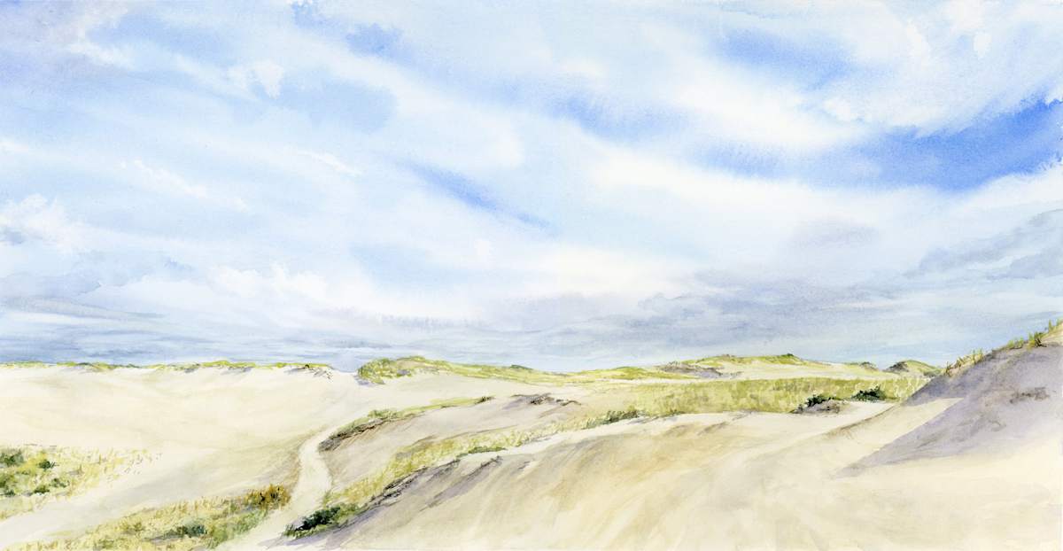 Dunes of Provincetown by Artnova Gallery & Salt Studio 