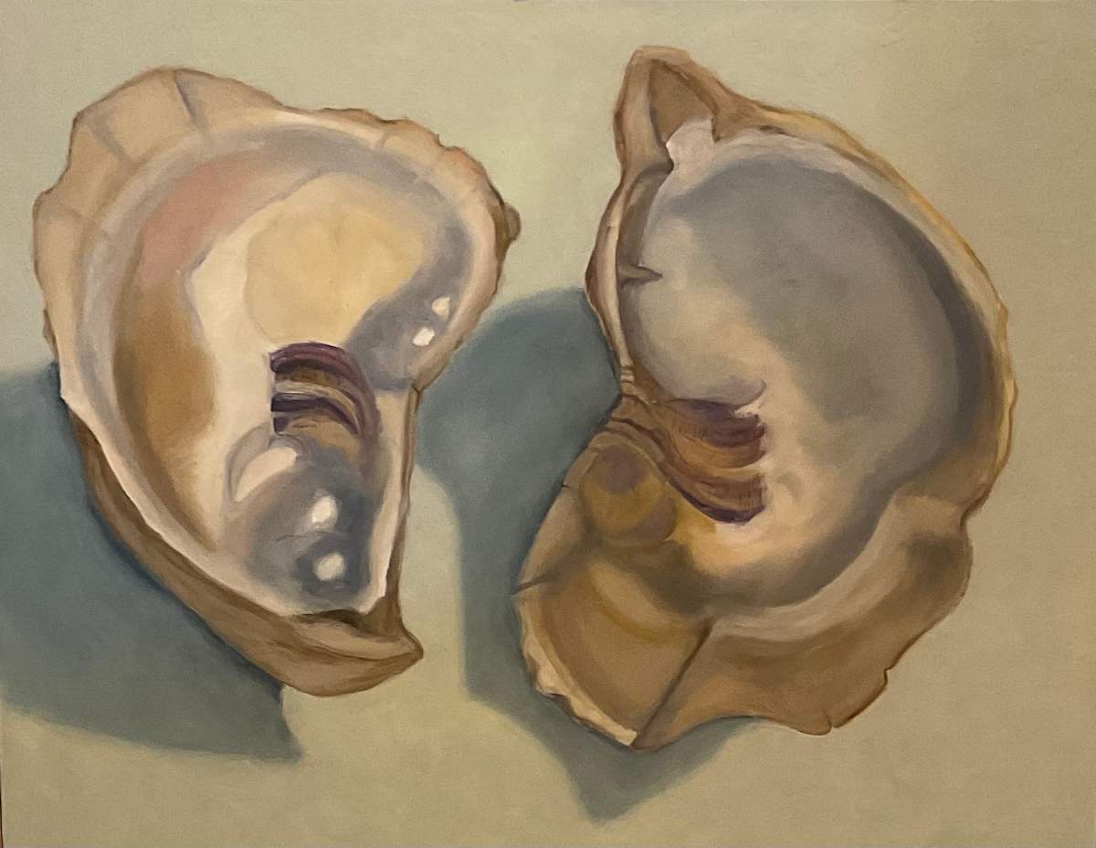 Oyster Shell Pair by Artnova Gallery & Salt Studio 