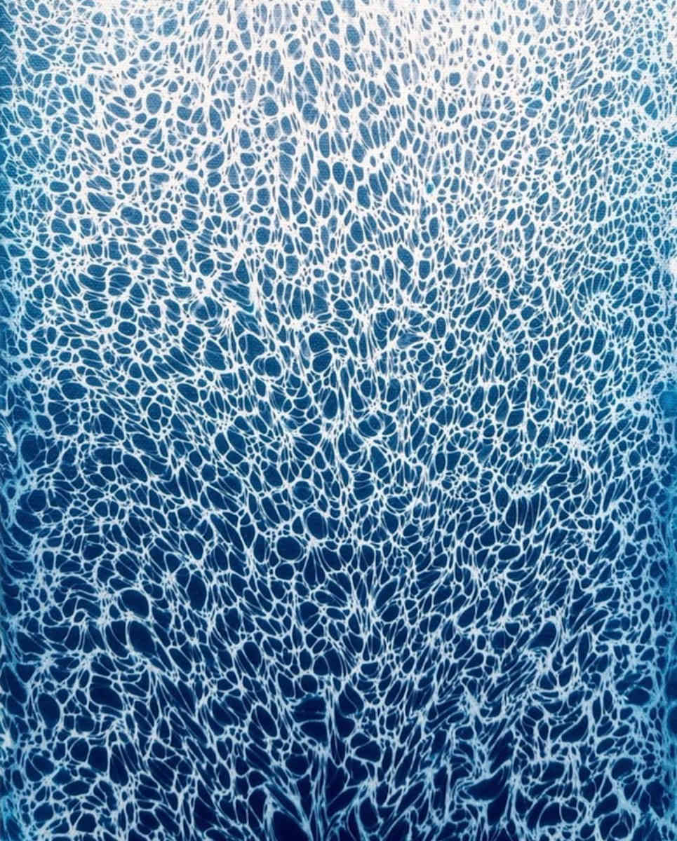 Ocean Lace by Artnova Gallery & Salt Studio, Image 1.