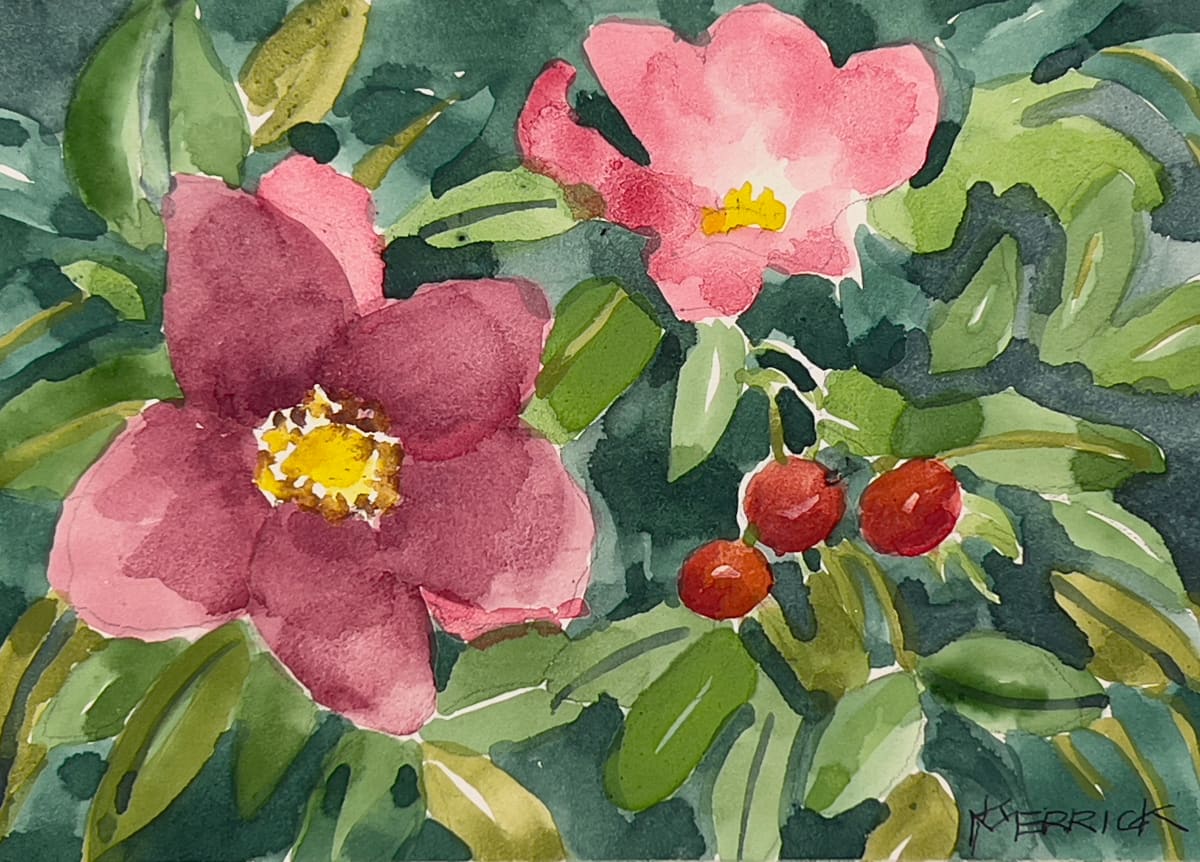 Rosa Rugosa by Artnova Gallery 