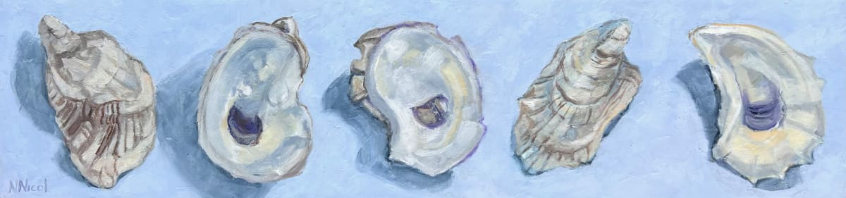 5 Shells by Artnova Gallery 