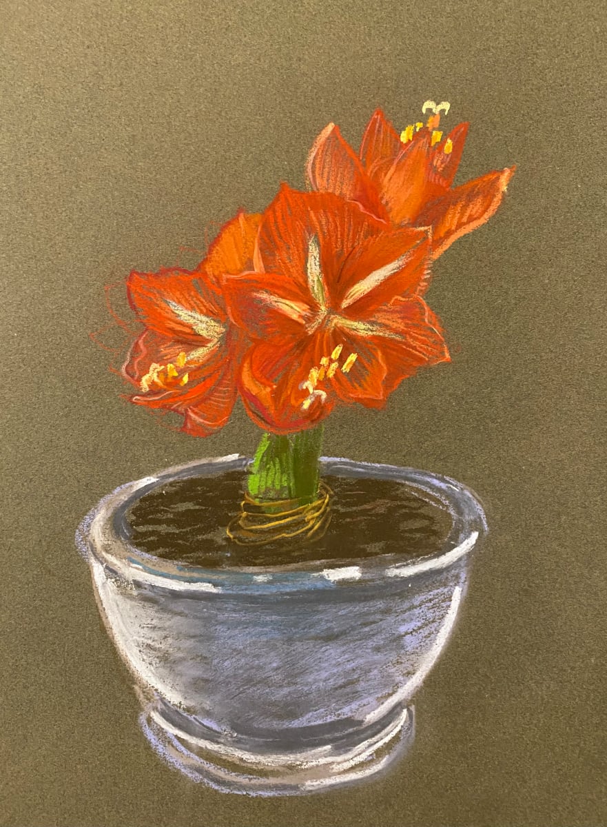 Amaryllis by Artnova Gallery 