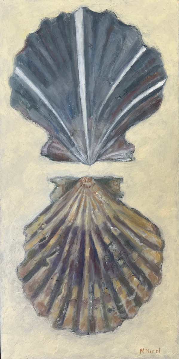 Scallop Shells by Artnova Gallery & Salt Studio, Image 1.