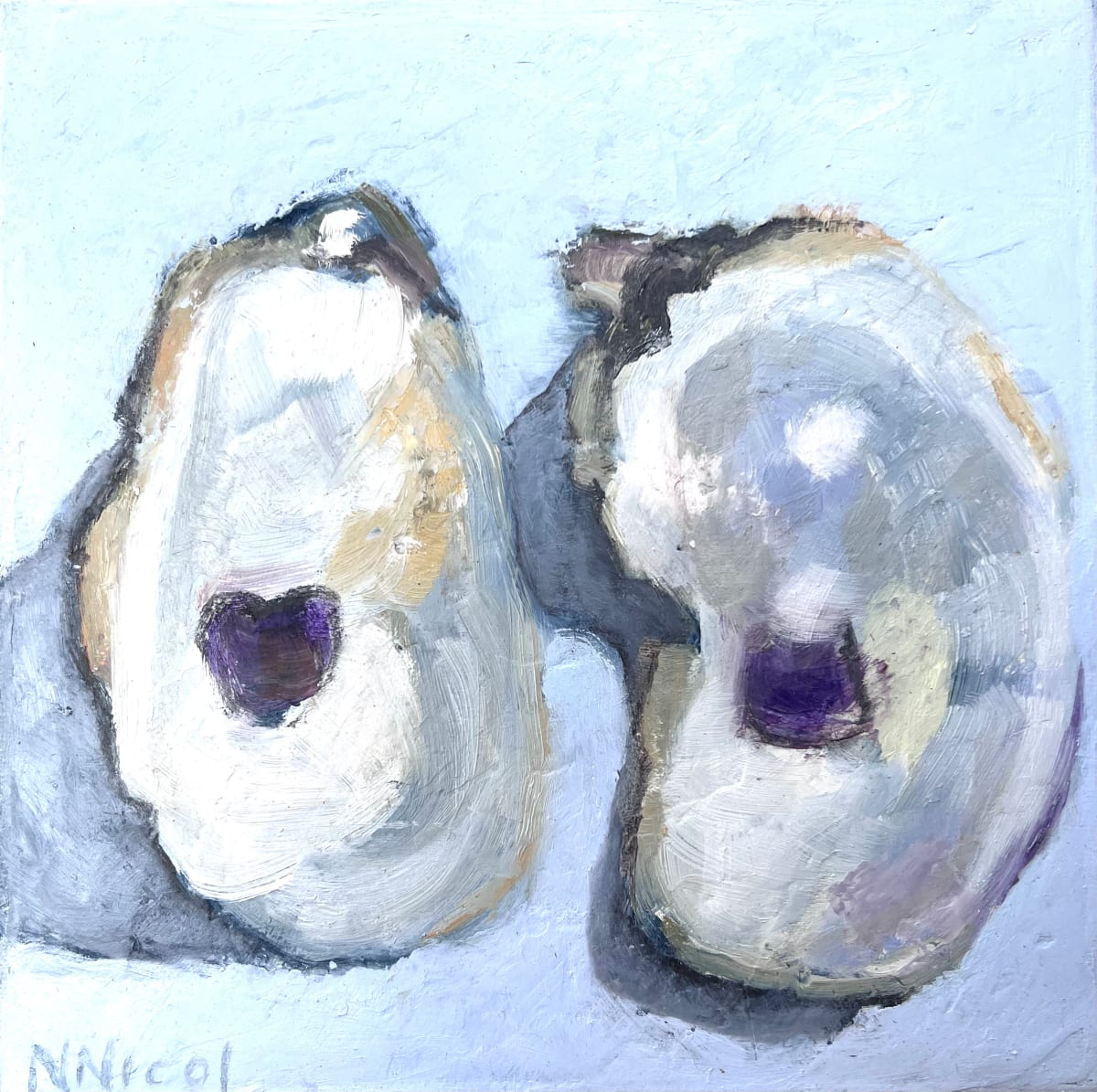 Oyster Shell Pair by Artnova Gallery 
