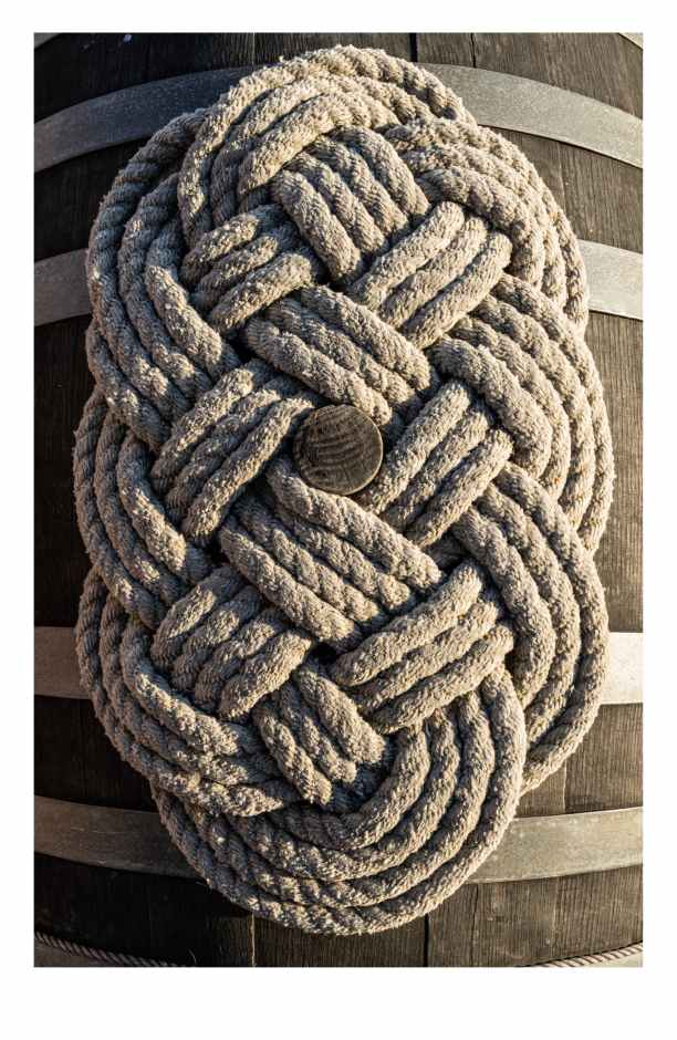 Lynx Braid by Artnova Gallery, Image 1.