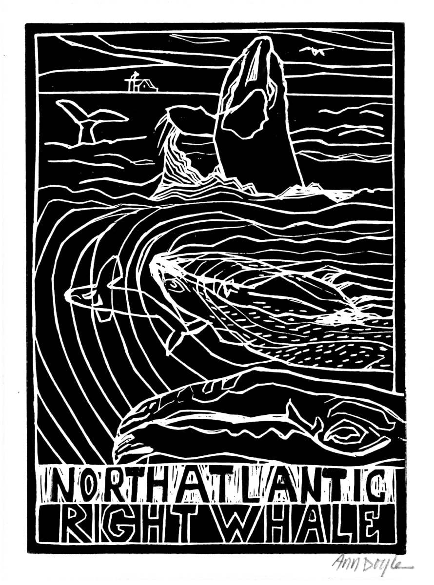 North Atlantic Right Whale by Artnova Gallery 