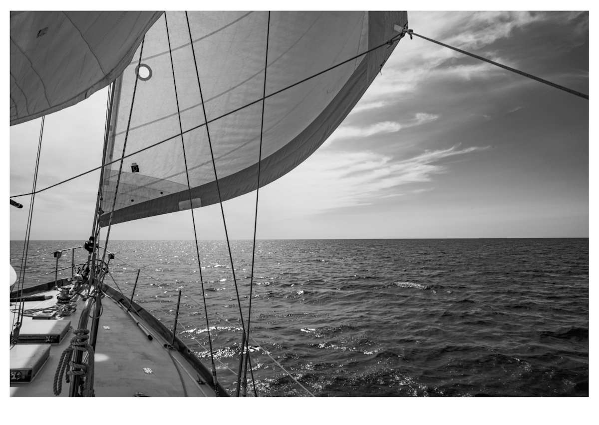 Nantucket Sail in B&W by Artnova Gallery 