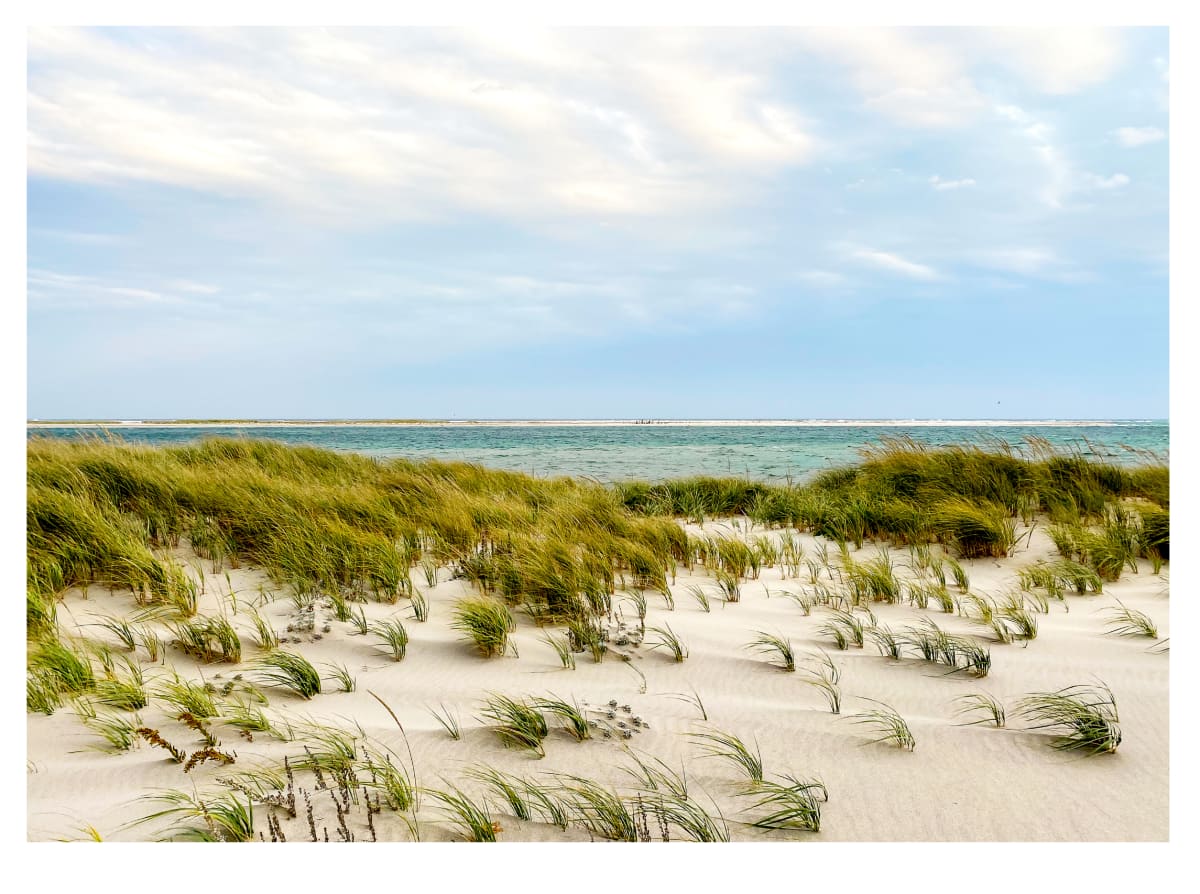 Winds from the South by Artnova Gallery 