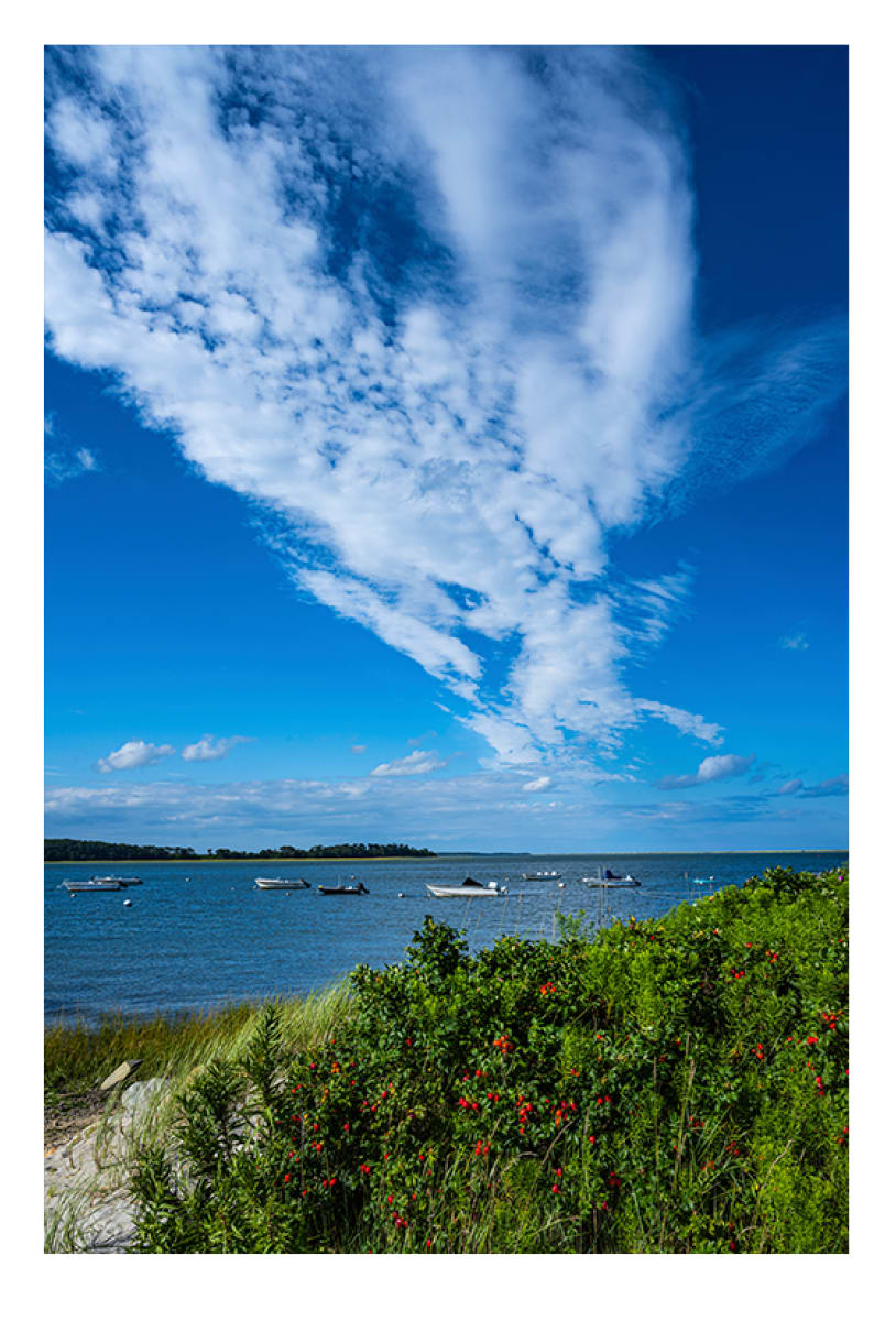 Northeast from Cotchpinicut by Artnova Gallery 