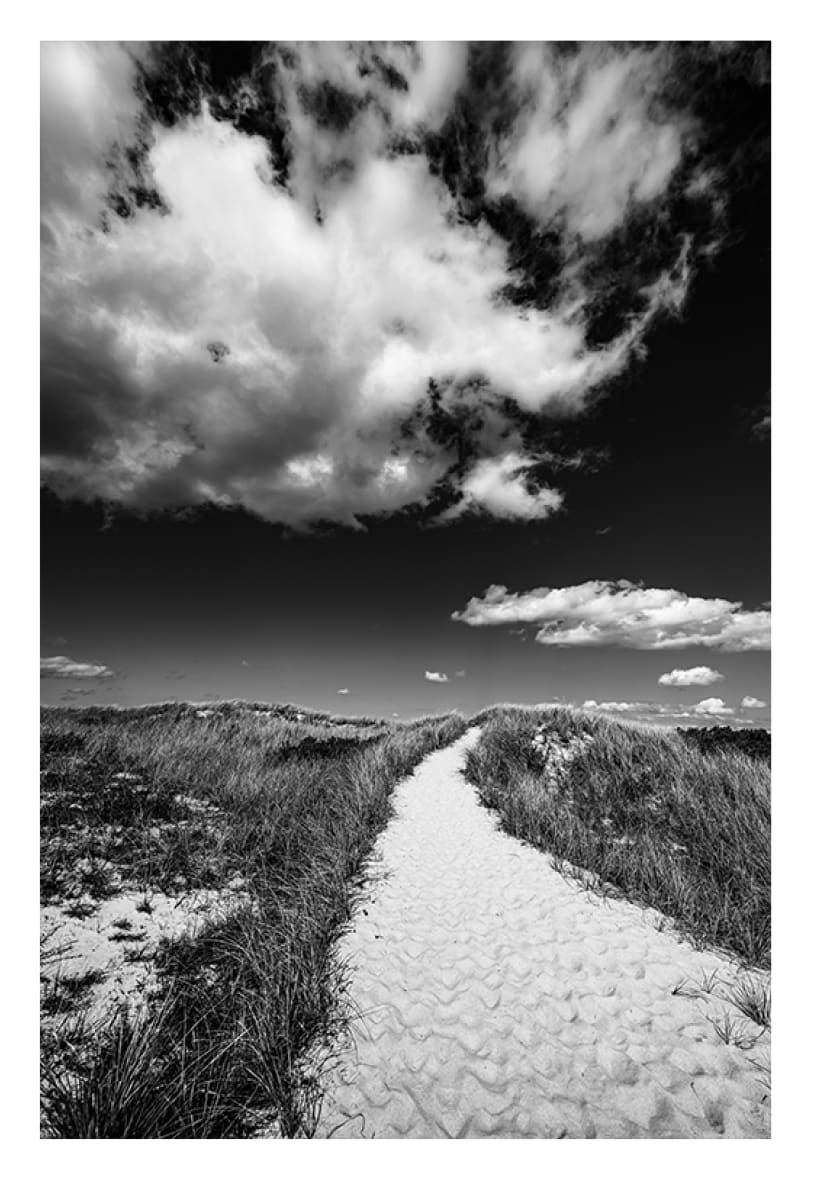 Northeast from Crowes Pasture by Artnova Gallery 