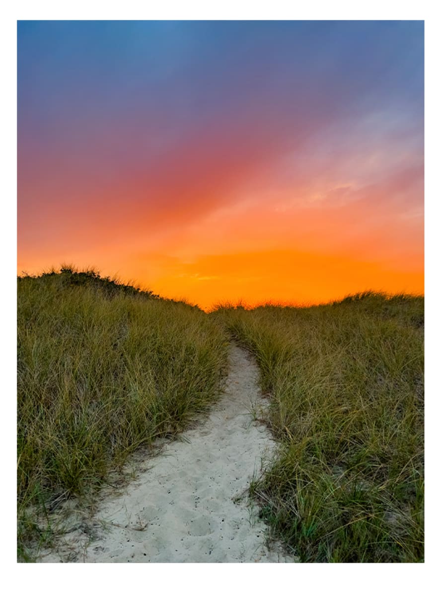 Cockle Cove Dune Path by Artnova Gallery 