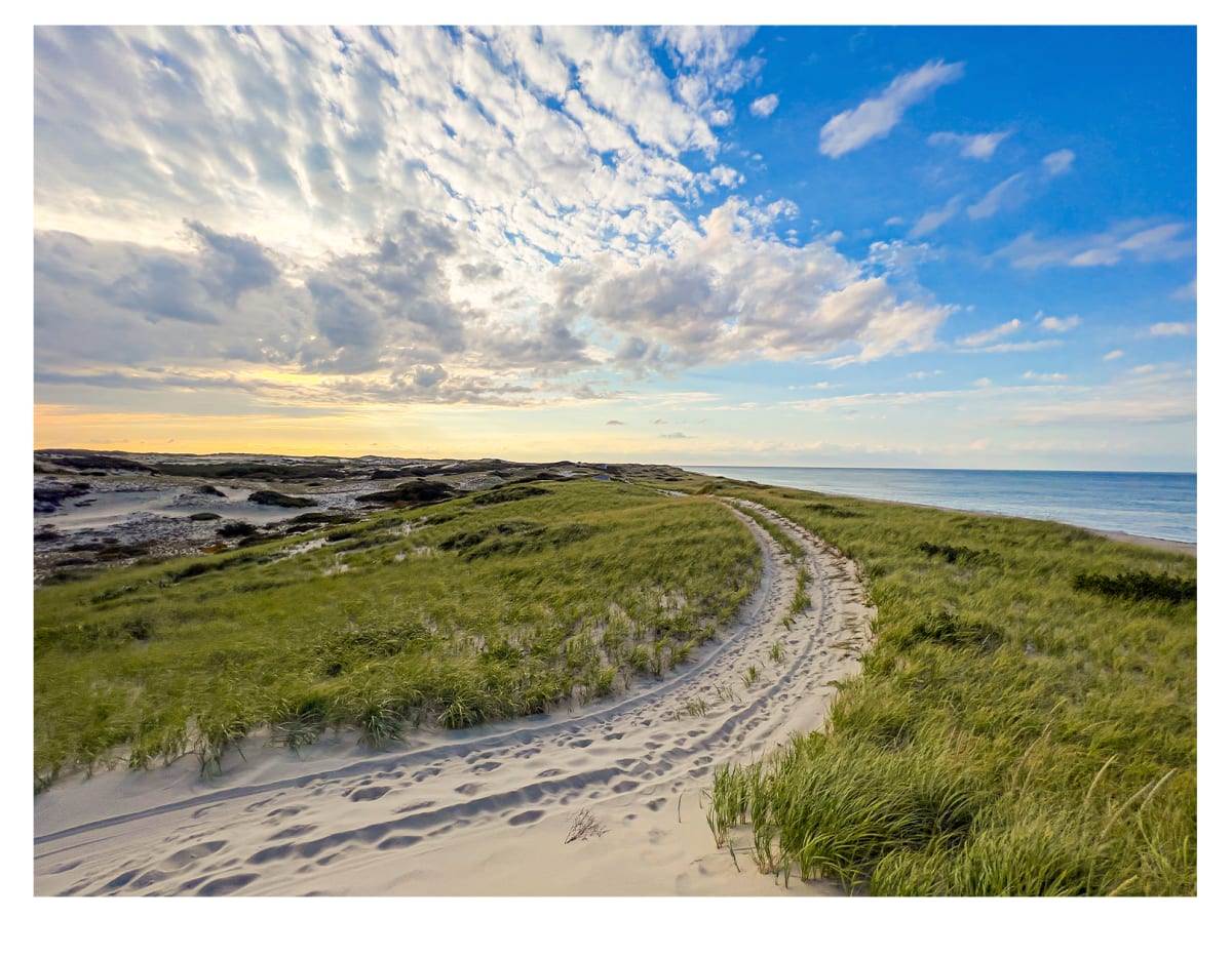 Province Lands Pathway #2 by Artnova Gallery 