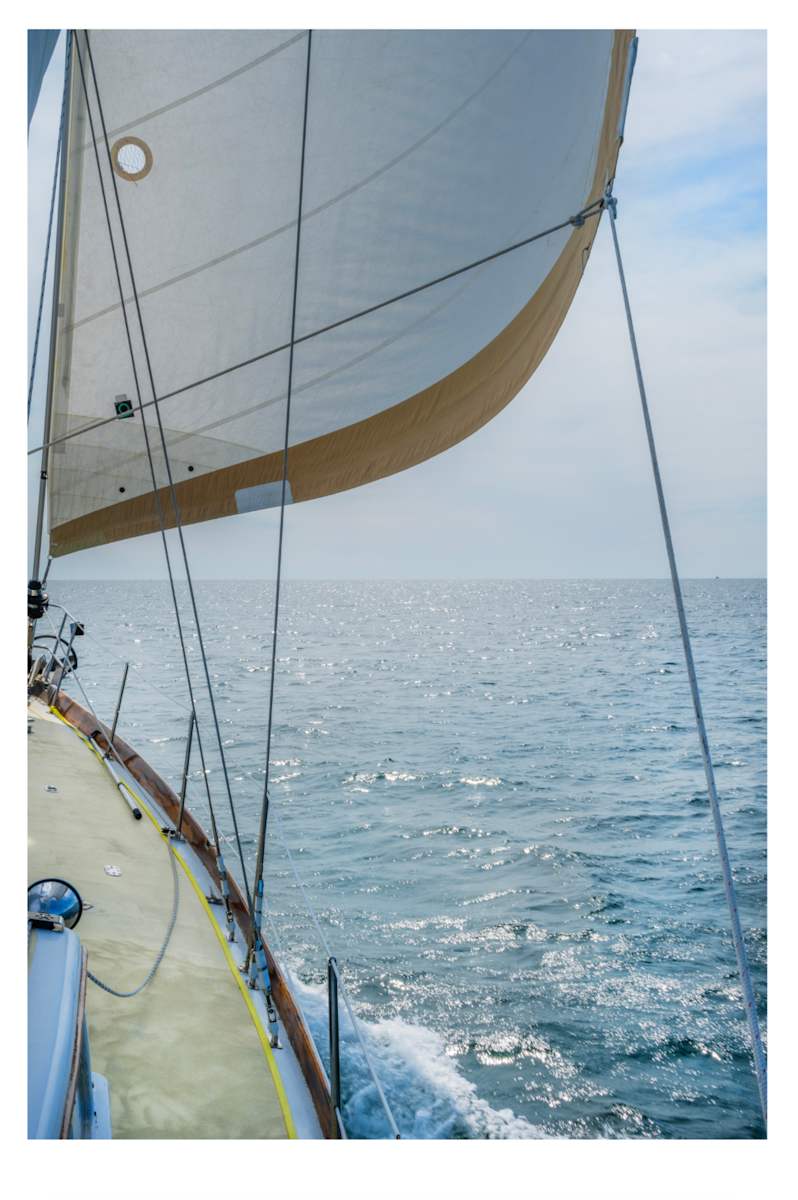 Nantucket Sail #2 by Artnova Gallery & Salt Studio 