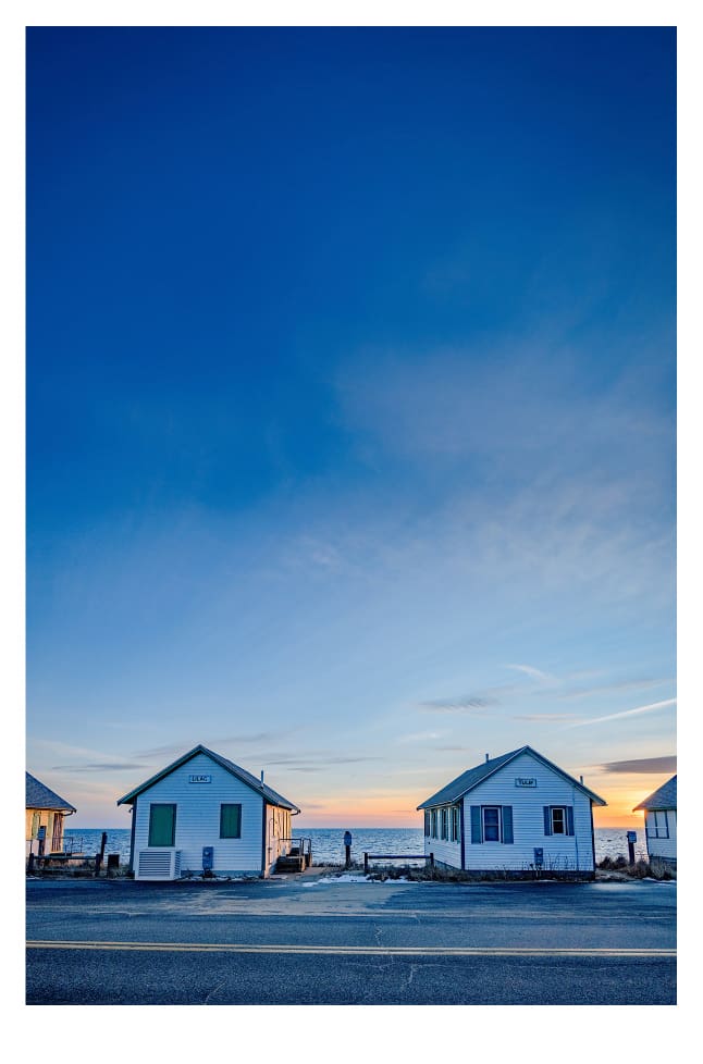 Lilan and Tulip by Artnova Gallery & Salt Studio 