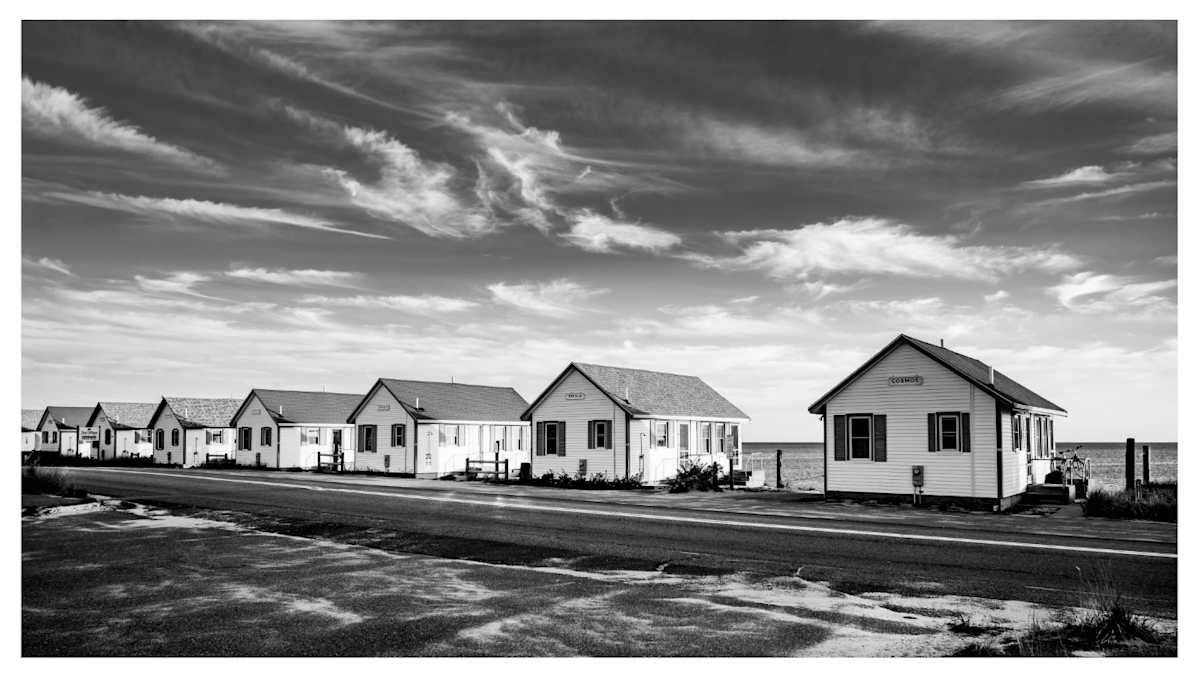 Cosmos in Black and White by Artnova Gallery & Salt Studio 