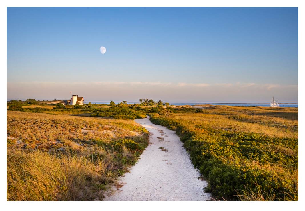 Stage Harbor Sail by Artnova Gallery & Salt Studio 